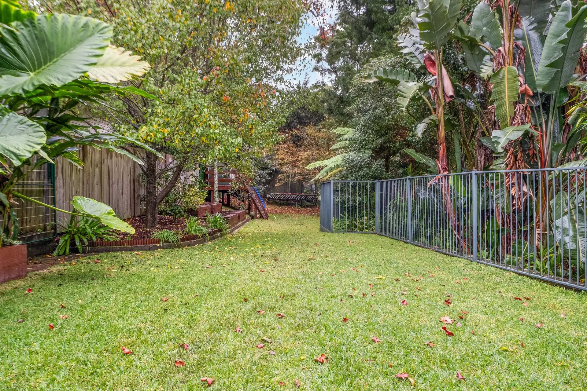 6 Lightcliff Avenue, Lindfield Sold by Chan Yahl - image 19