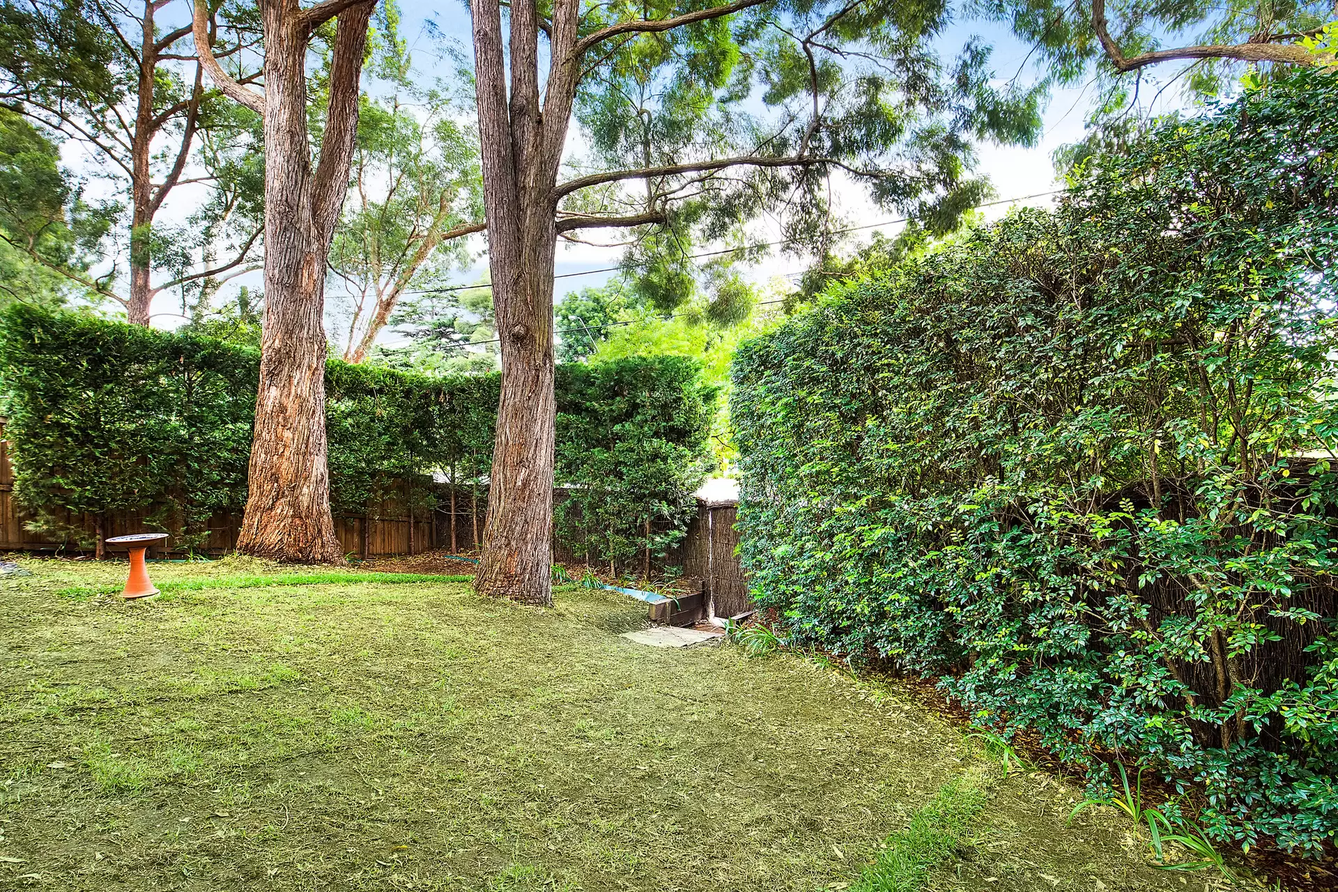 1/6 Gillott Way, St Ives Leased by Chan Yahl - image 6