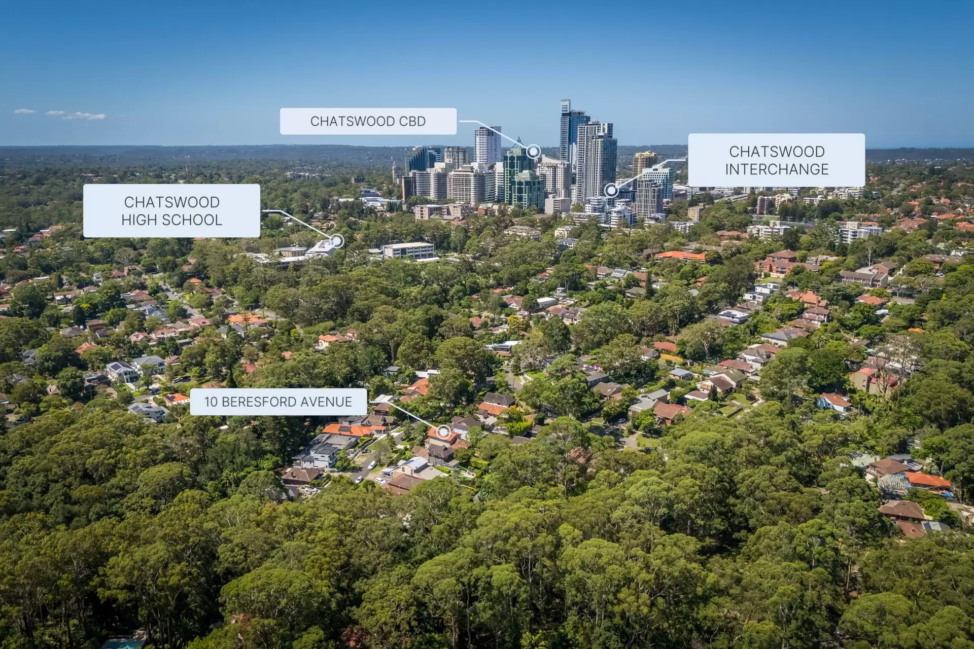 10 Beresford Avenue, Chatswood Sold by Chan Yahl - image 32