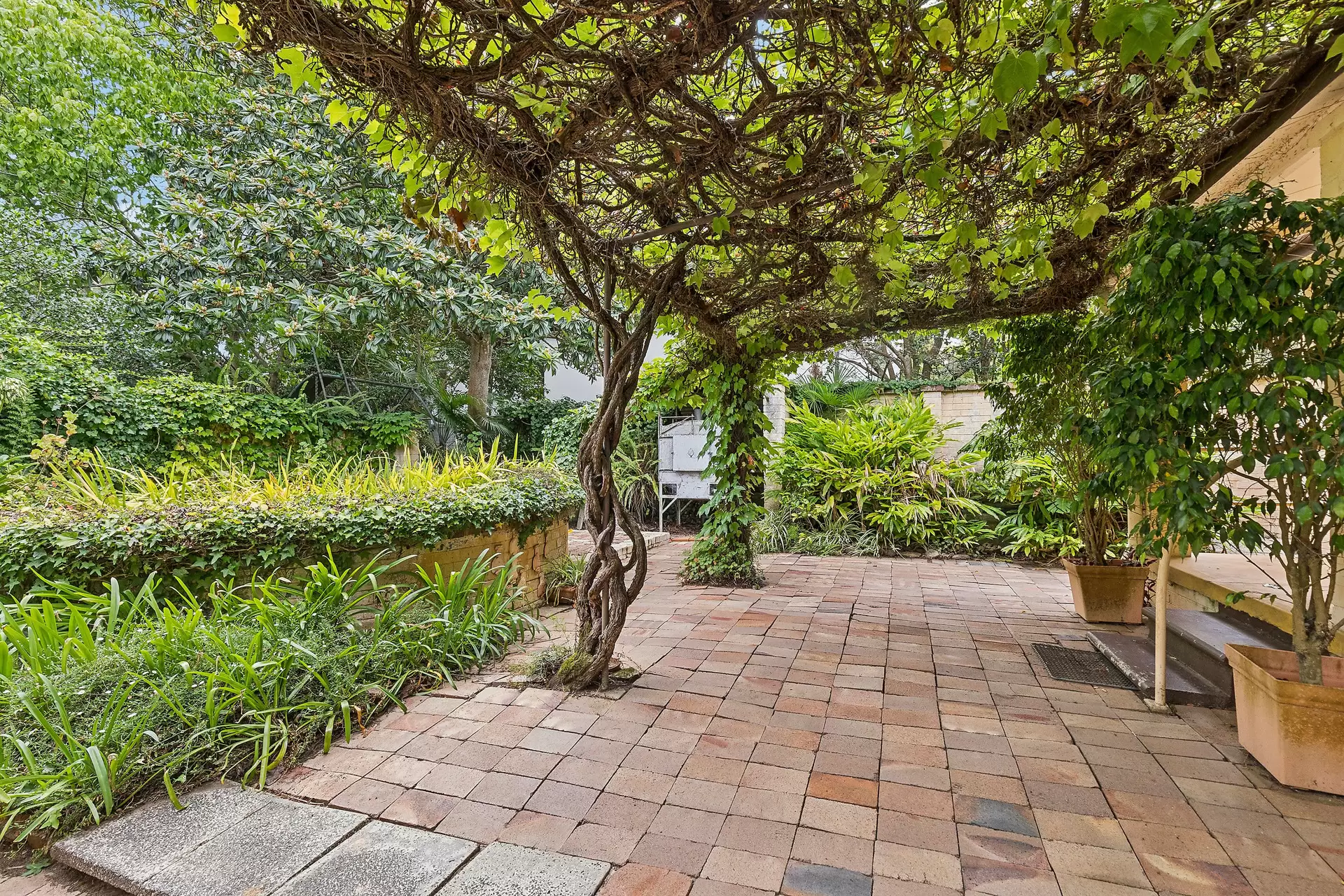 8 Avoca Road, Turramurra Sold by Chan Yahl - image 13