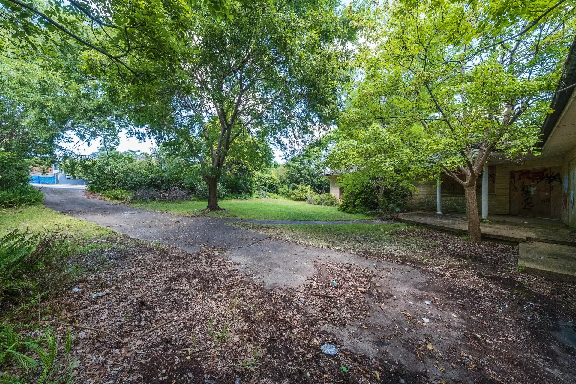 262 Mona Vale Road, St Ives Sold by Chan Yahl - image 3