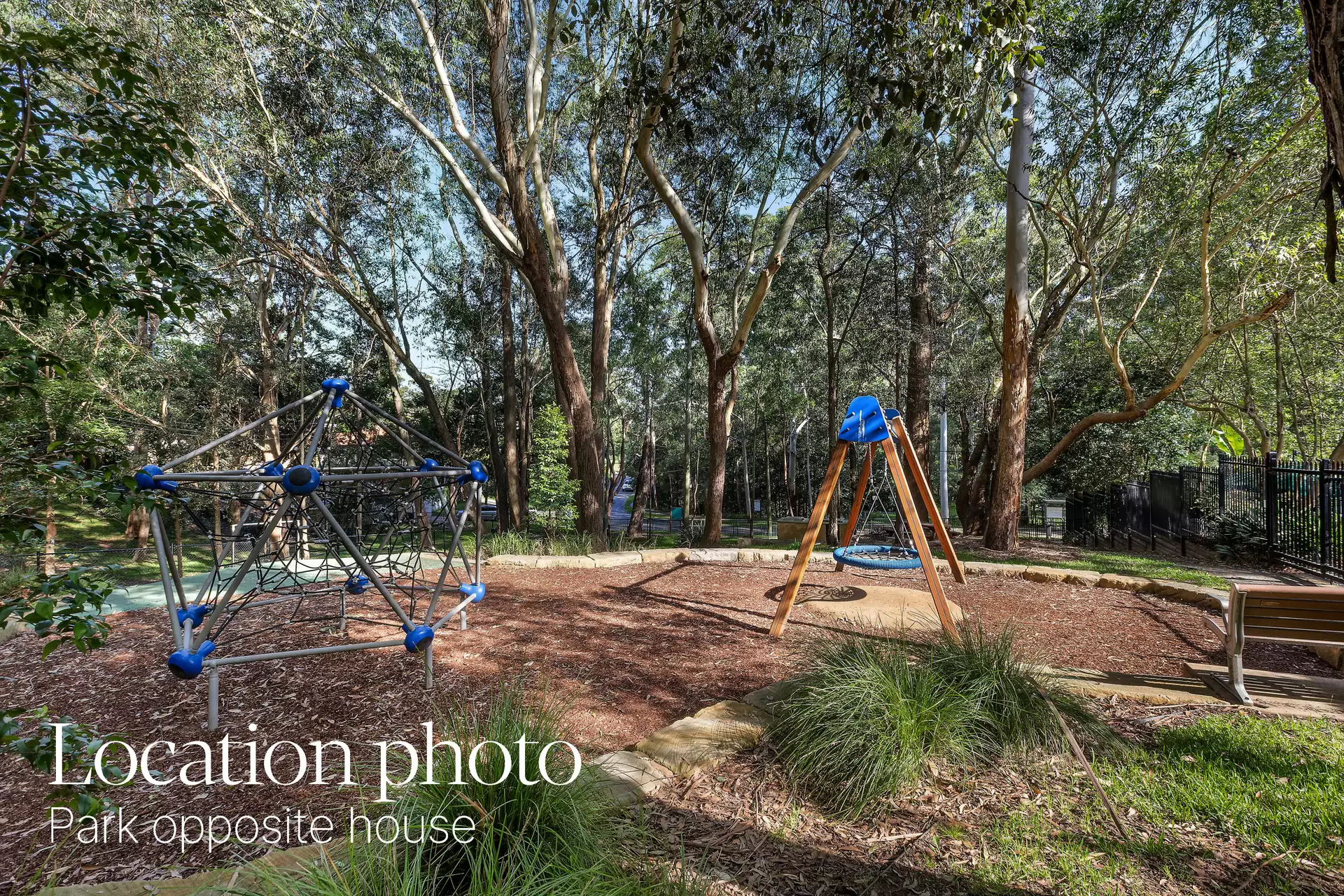 36 Sharland Avenue, Chatswood Leased by Chan Yahl - image 4