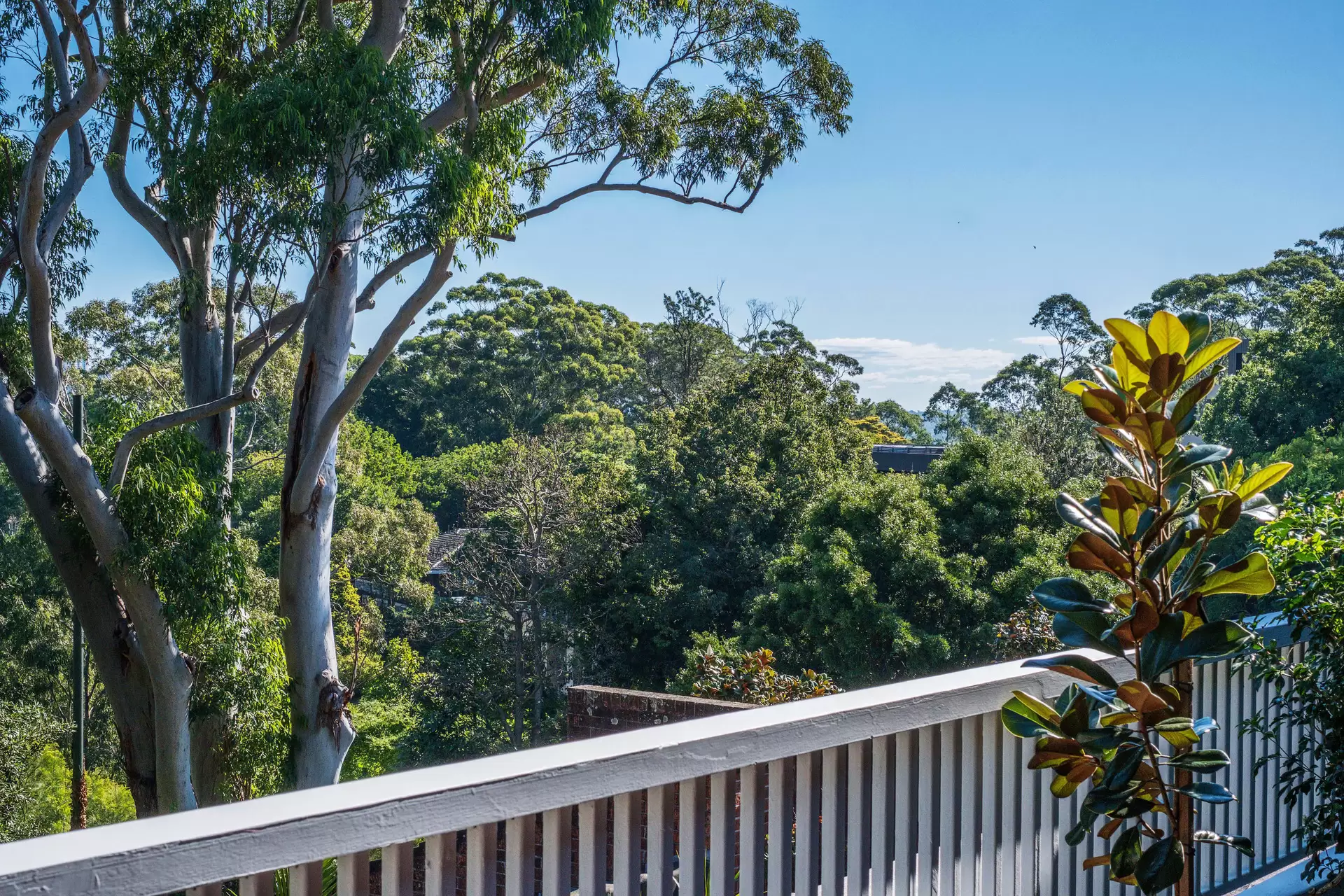 18/564 Pacific Highway, Killara Sold by Chan Yahl - image 12