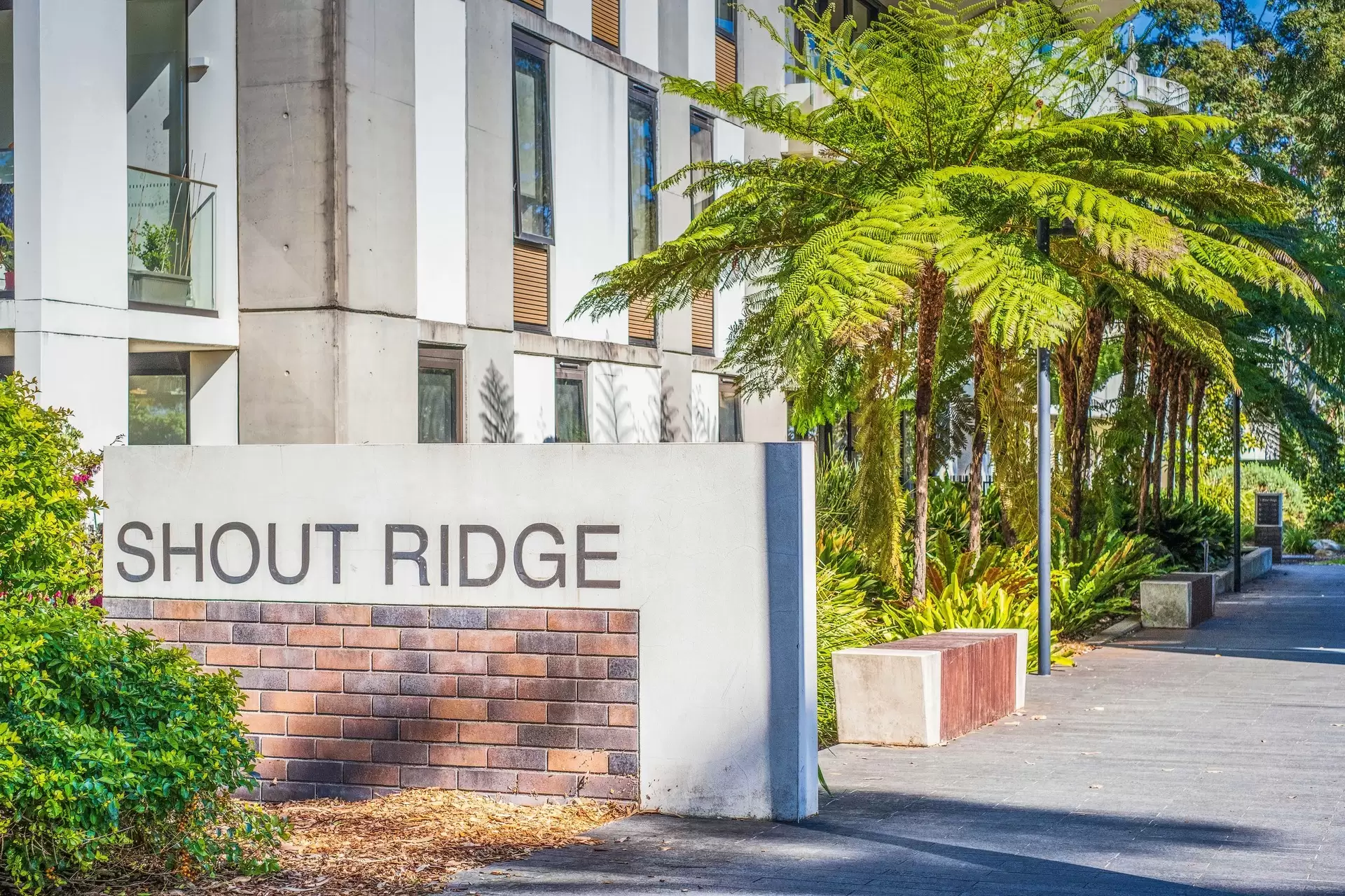 B102/6-8 Shout Ridge, Lindfield Leased by Chan Yahl - image 11