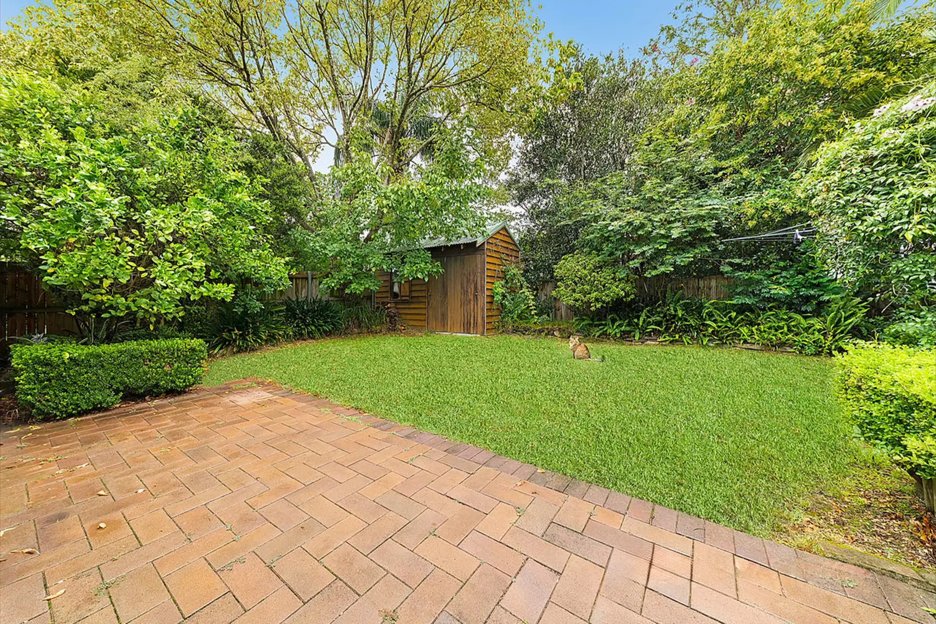 12 Millwood Avenue, Chatswood Auction by Chan Yahl - image 9